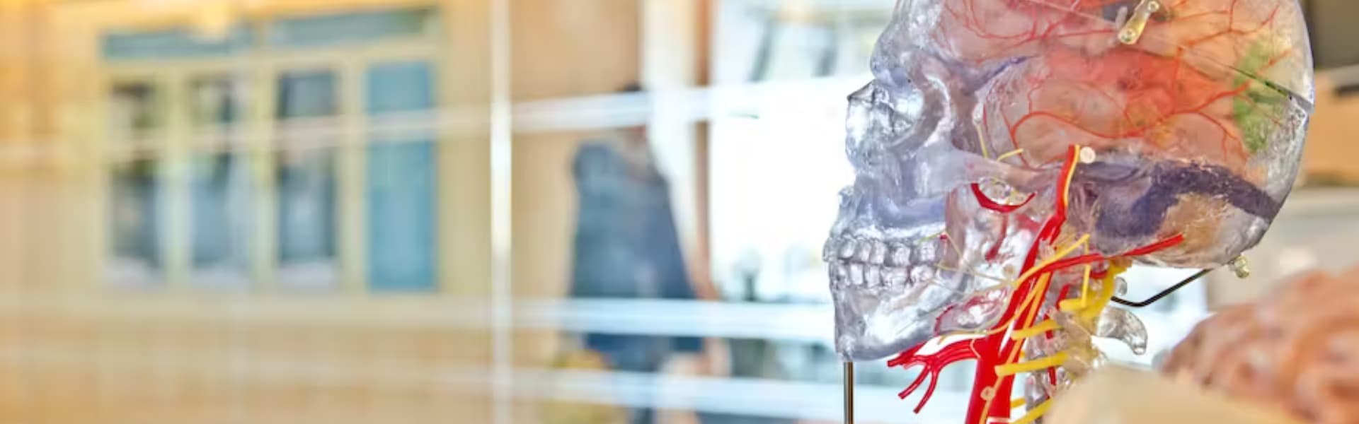 Neuropsychologie et commotions cérébrales dans le sport